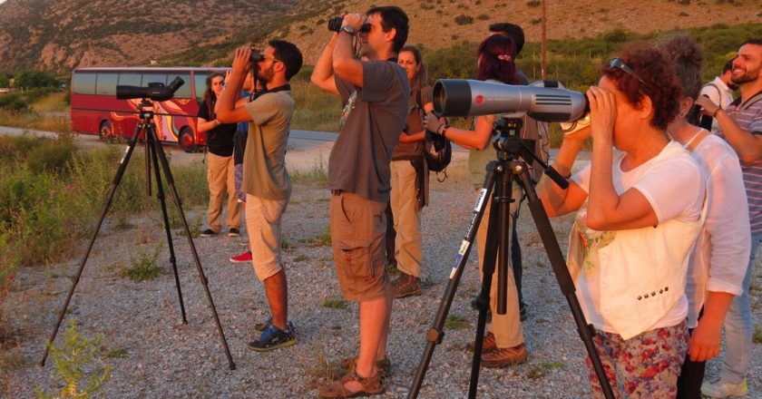 Ορνιθοτουρισμός στη Κρήτη