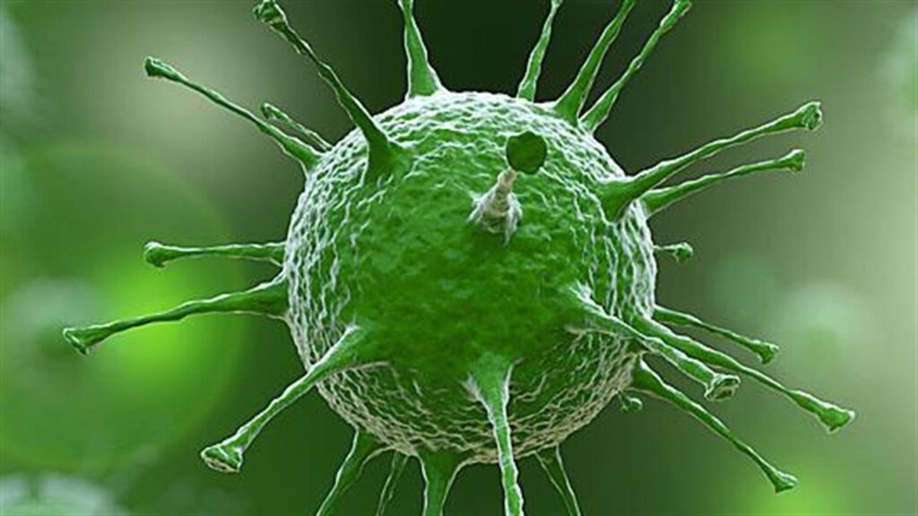 Δε χρειάζεται ανησυχία για τη γρίπη των πτηνών