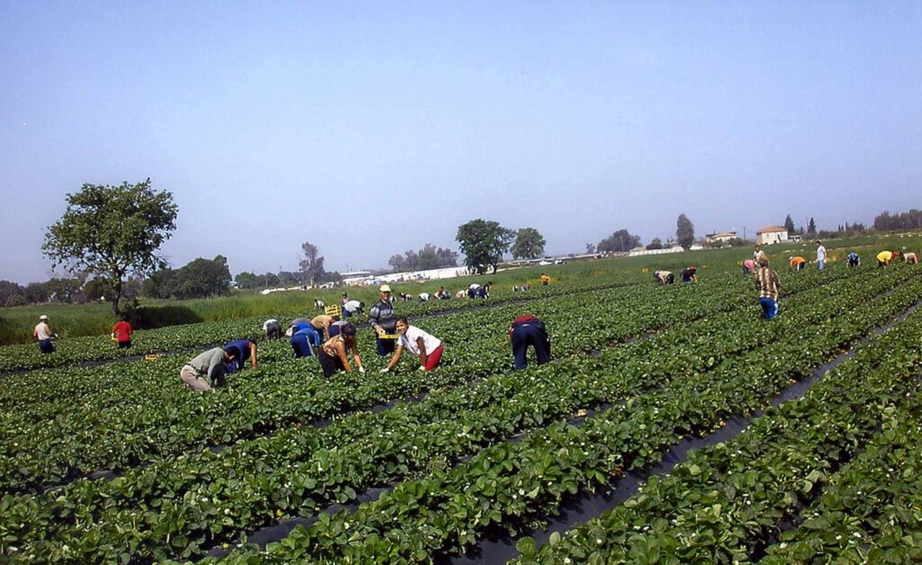 Εργάτες γης και νομοθεσία απασχολούν το Εργατικό Κέντρο Σύσκεψη για εργάτες γης και νομοθεσία