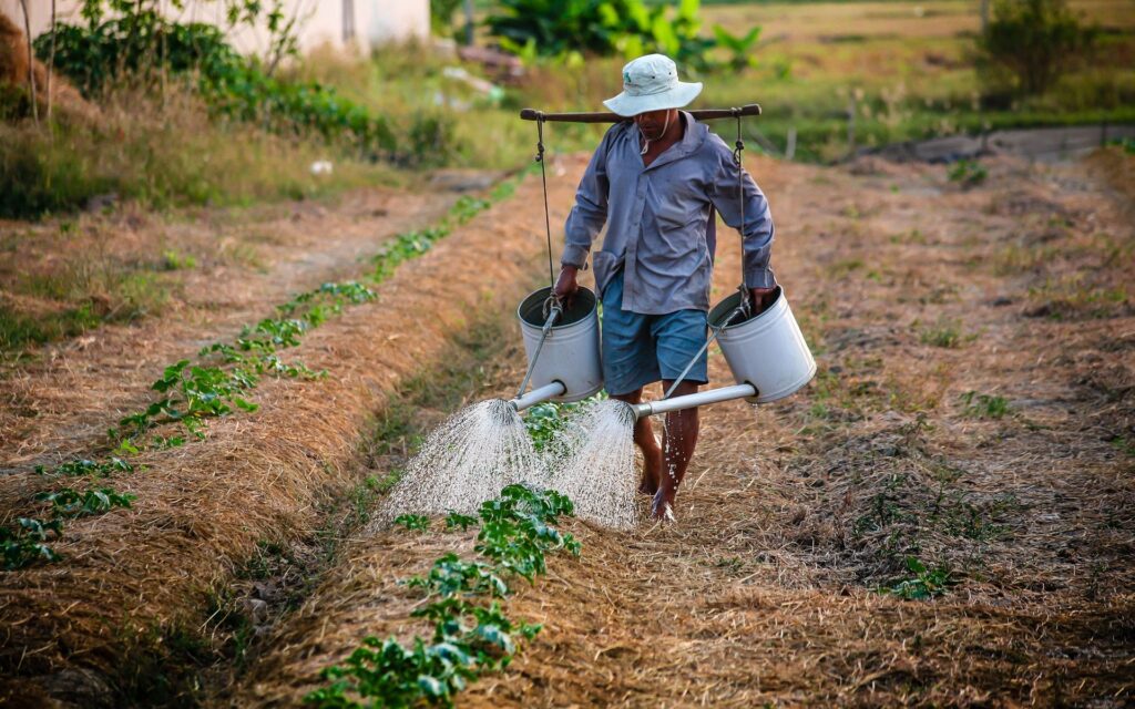 Εκδήλωση για την αγροτική ανάπτυξη από το ΠΑΣΟΚ