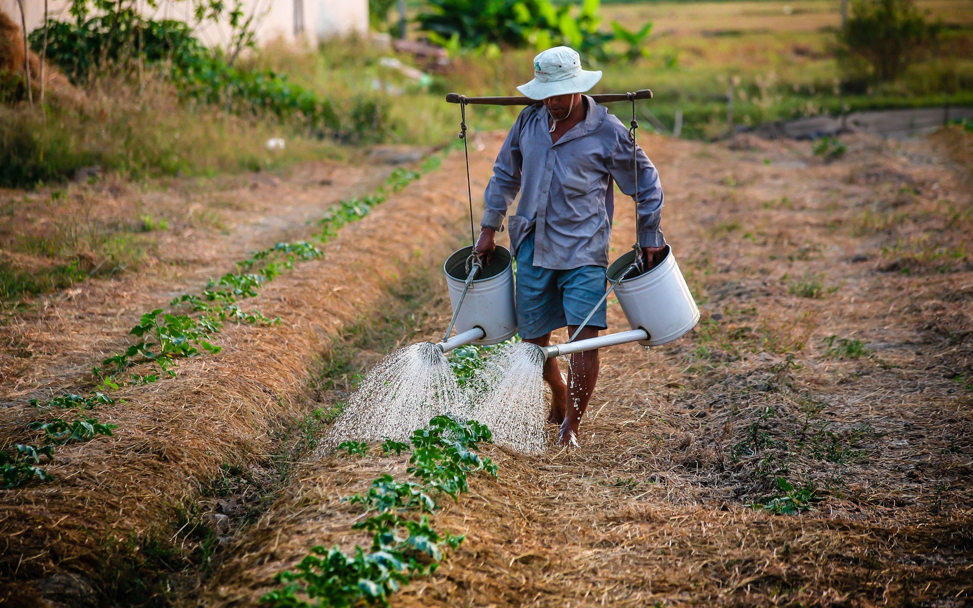 Η Ελλάδα χωρίς «χέρια»: Οξύ το πρόβλημα εργατών γης για τον αγροτικό τομέα