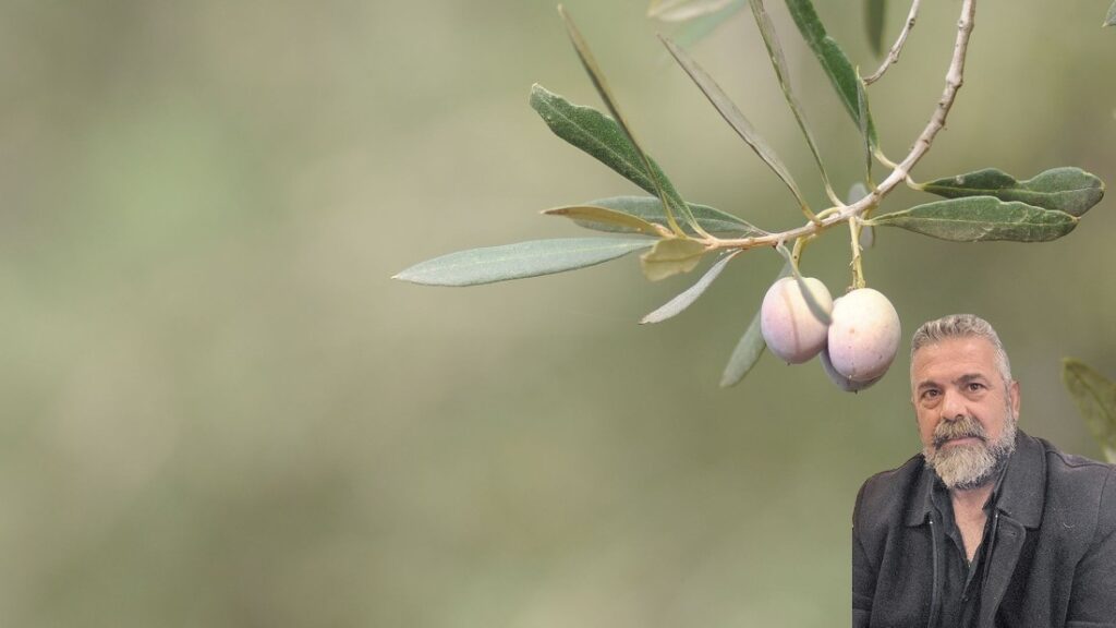 Π. Ιερωνυμάκης σε ΘΕΜΑ ΚΡΗΤΗΣ 103.1: “Βάλσαμο η περυσινή χρονιά – πρόβλημα η φετινή” Σοβαρά τα προβλήματα από την κακοκαιρία
