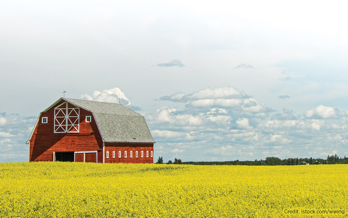 Ποιος γνωστός Chef μπαίνει στη Φάρμα