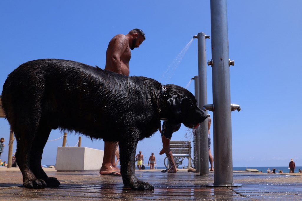 Στους 44 βαθμούς ο υδράργυρος στην Ισπανία