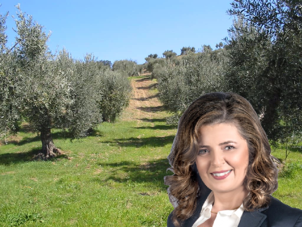 Ε. Χουδετσανάκη: “Έχουμε χρέος να μην αφήσουμε τον παραγωγό να καταστραφεί”