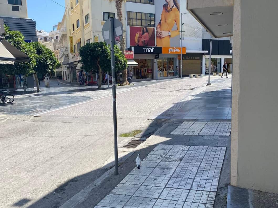 Ιδιαίτερα “χαμηλές πτήσεις” στην κυριακάτικη αγορά