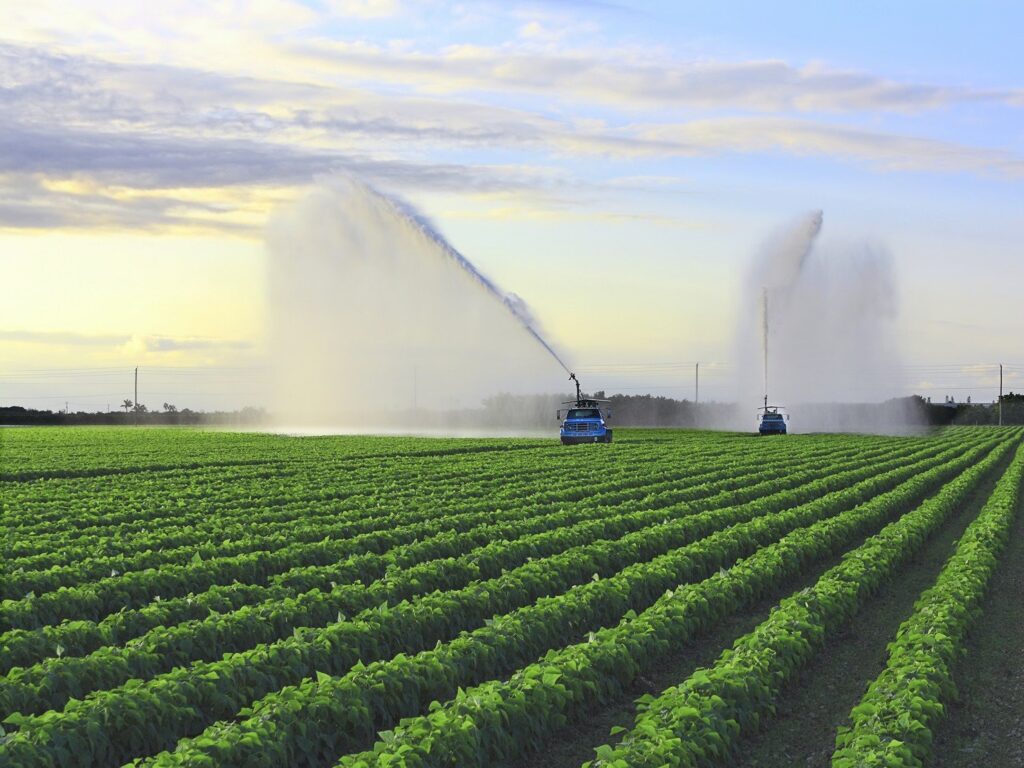 Χαμηλά τα ποσοστά ενεργοποίησης δικαιωμάτων