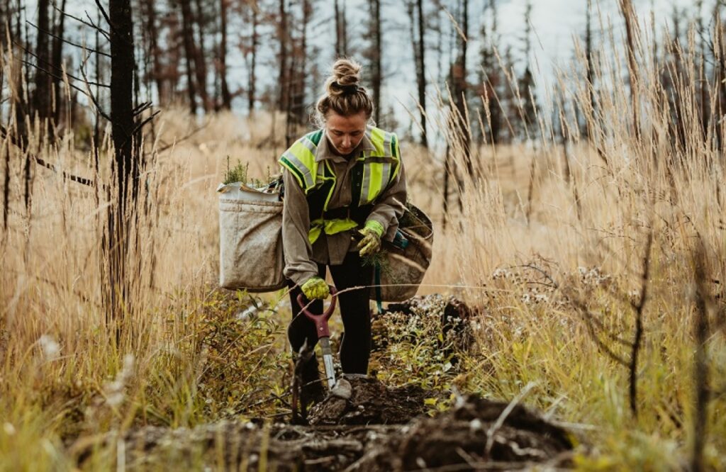 Η αποκατάσταση της φύσης νόμος της Ε.Ε.
