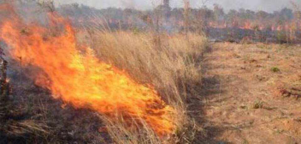 Ήθελε να κάψει ξερόχορτα στον καύσωνα