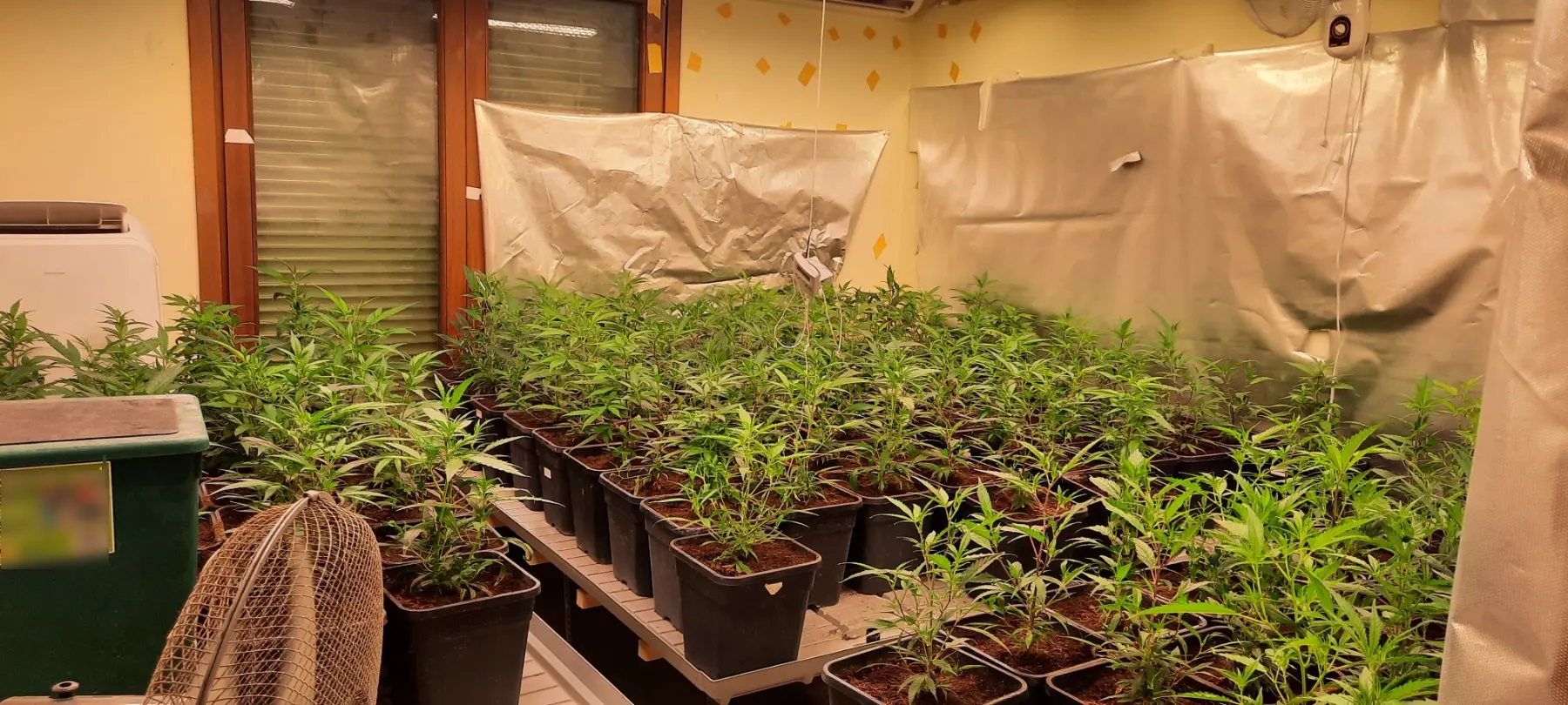 Προφυλακιστέοι τρεις για την υπόθεση της ναρκοβίλας που αποκάλυψε το ΘΕΜΑ ΚΡΗΤΗΣ