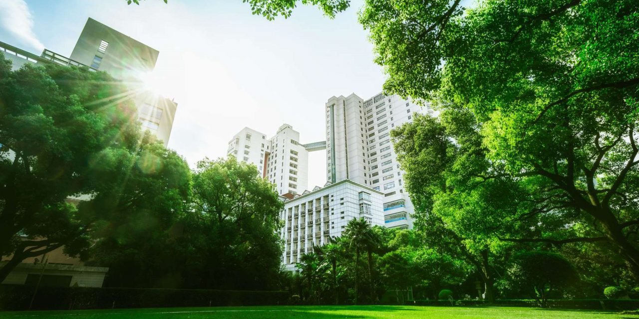 Γ. Αλεξάκης: Στο προσκήνιο οι “πράσινες” και “κυκλικές” πόλεις