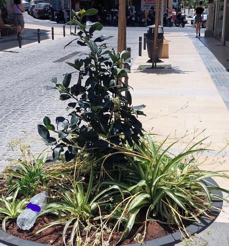 Δυο μέτρα μέχρι το καλάθι