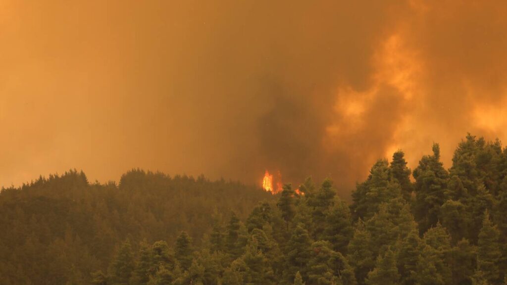 Πολύ υψηλός κίνδυνος πυρκαγιάς σήμερα στην Κρήτη