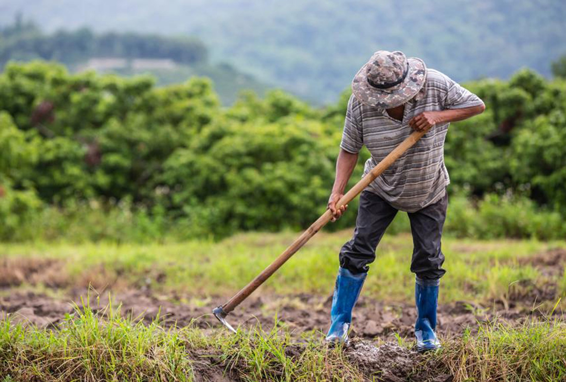 Πήρε πάνω του την υπόθεση ο Αυγενάκης για να μη χαθούν τα χρήματα