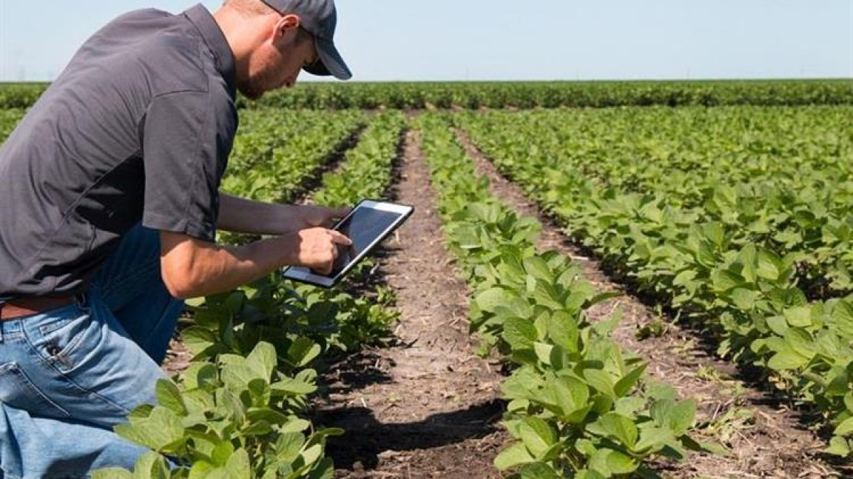Ανακοίνωση αποτελεσμάτων γεωργικών συμβούλων για την Κεντρική Μακεδονία