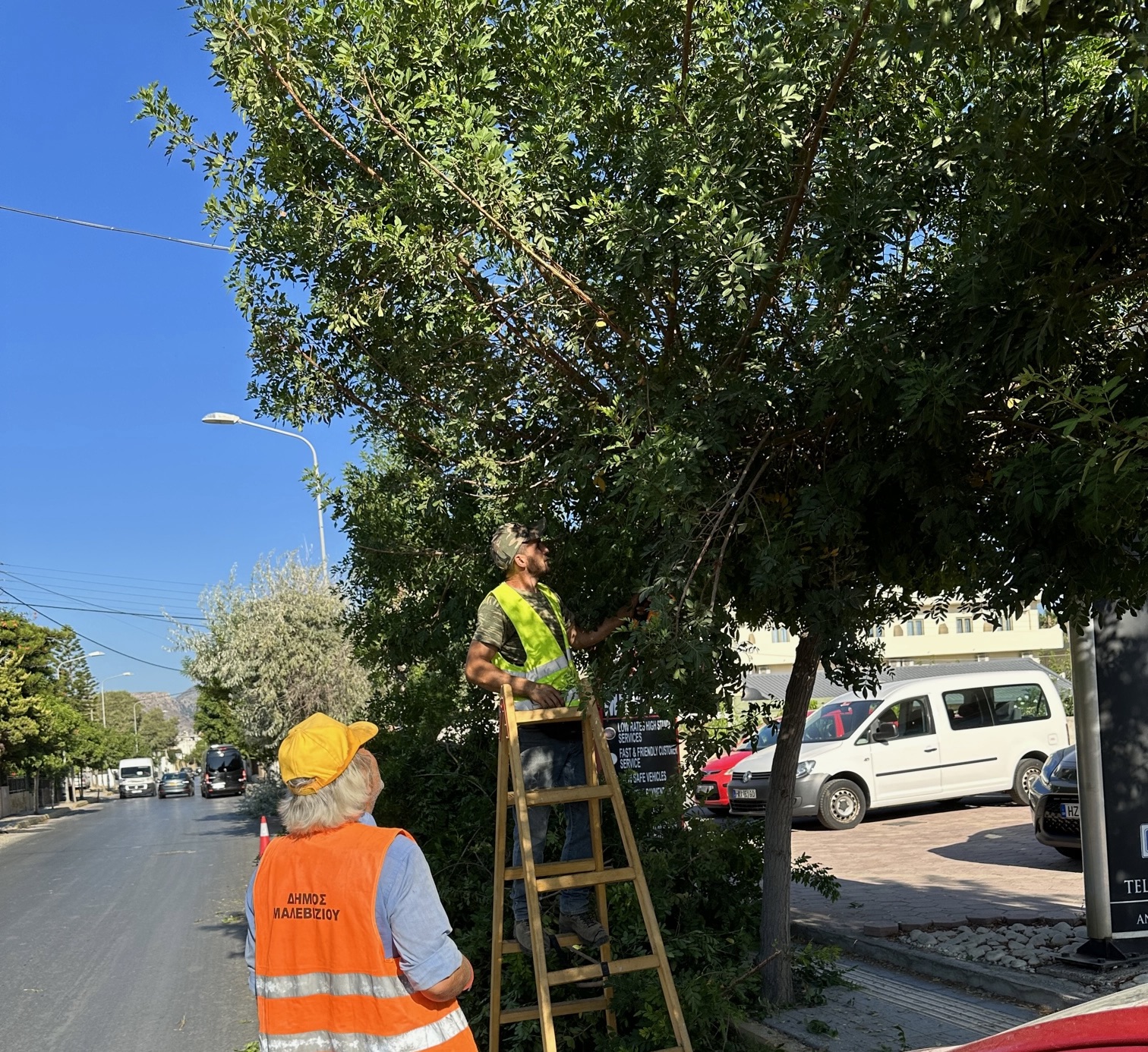 Δράσεις συντήρησης πρασίνου στην Αμμουδάρα