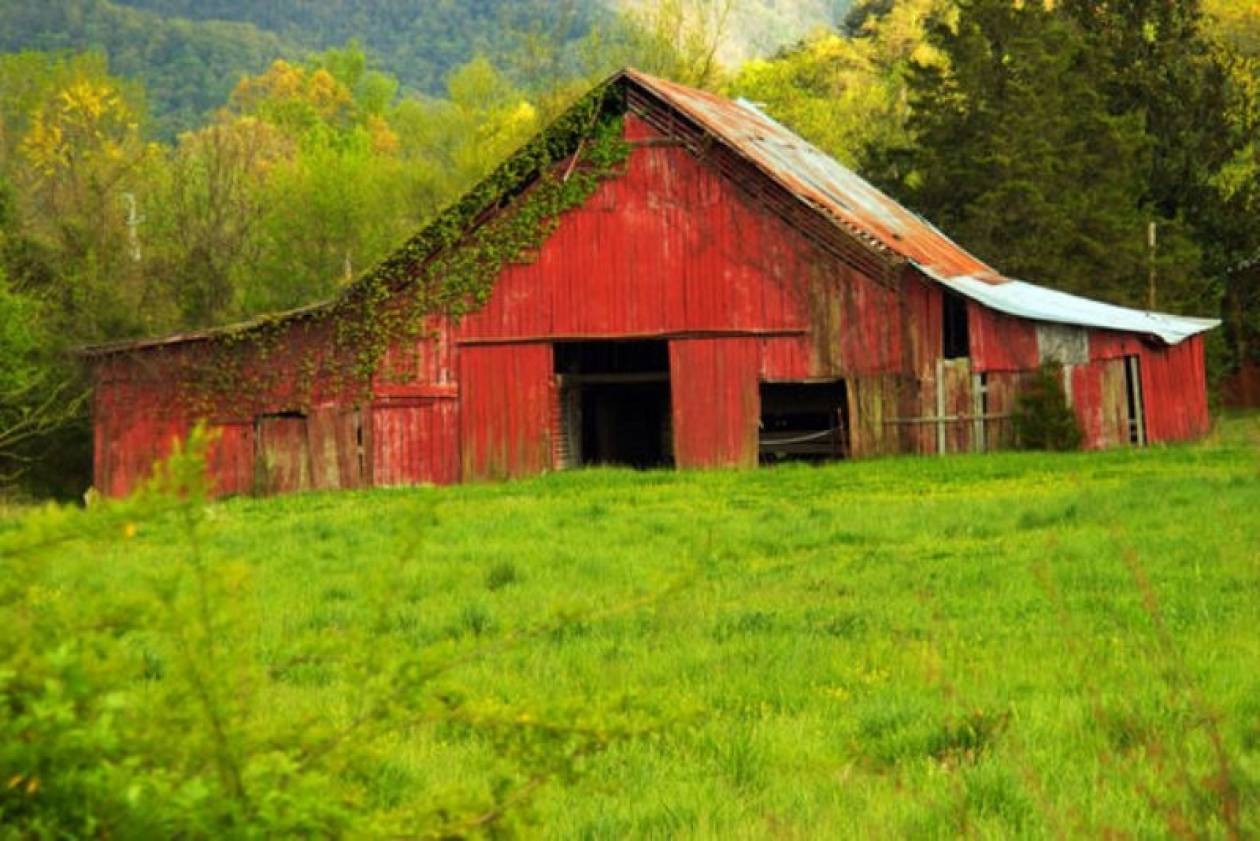 Τη βρήκαν κρεμασμένη στον αχυρώνα