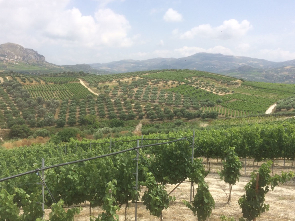 Παρουσίαση βιβλίου για τις Δαφνές