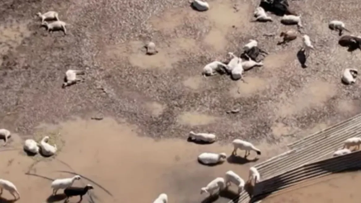 Αυξάνονται οι μολύνσεις στη Θεσσαλία