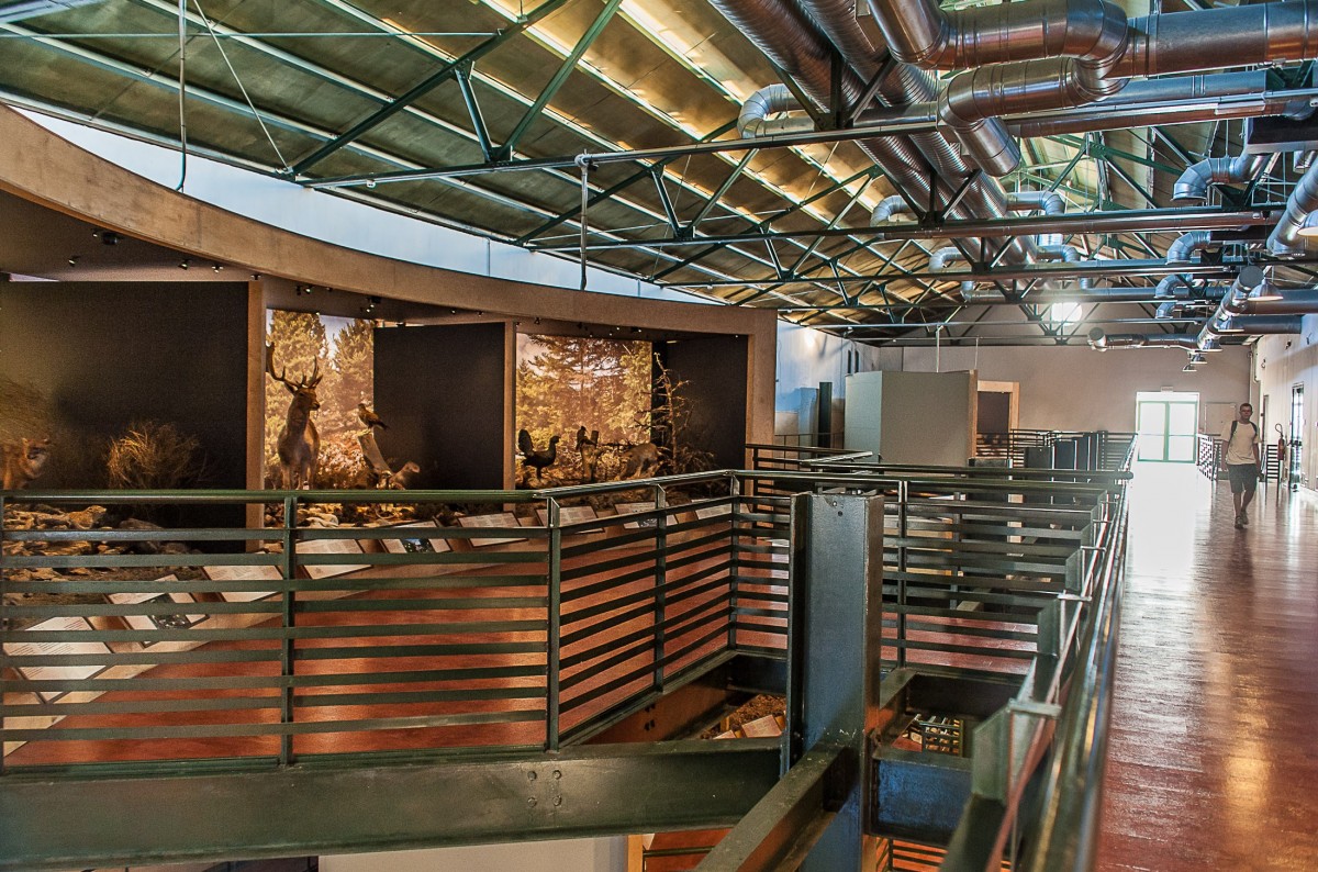 Κυνήγι μηδενικών αποβλήτων στο Μουσείο Φυσικής Ιστορίας Κρήτης