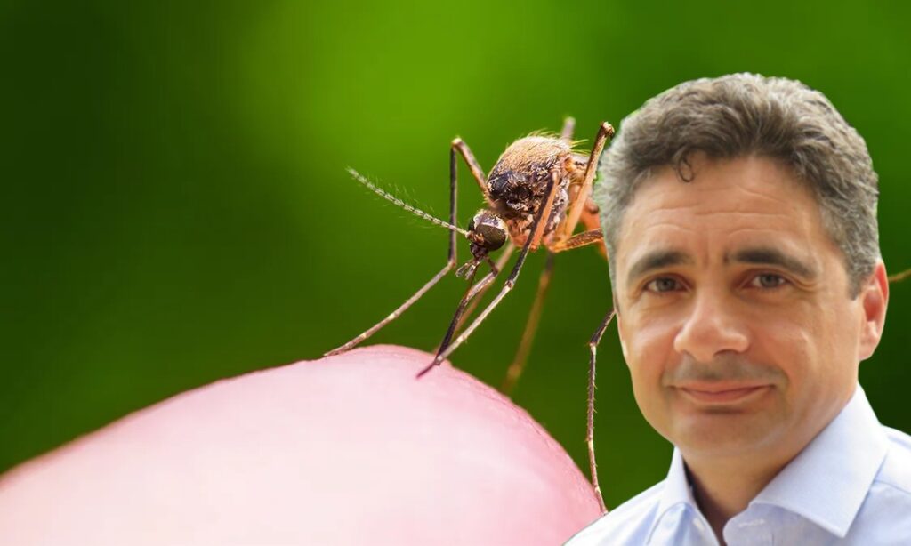 Μ. Ροδιτάκης σε ΘΕΜΑ ΚΡΗΤΗΣ: “Οι πληθυσμοί των κουνουπιών αποτελούν πανευρωπαϊκό πρόβλημα”