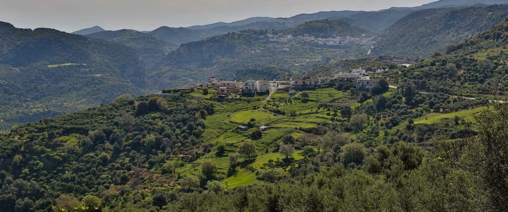 Λύσεις στα προβλήματα δασών και δασικών υπηρεσιών στην Κρήτη αναζητά το ΓΕΩΤΕΕ