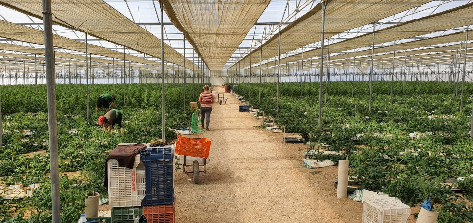 Ν. Μπουνάκης σε ΘΕΜΑ ΚΡΗΤΗΣ: “Οφείλουμε να βρούμε ένα νέο μίγμα αγροτικής παραγωγής”