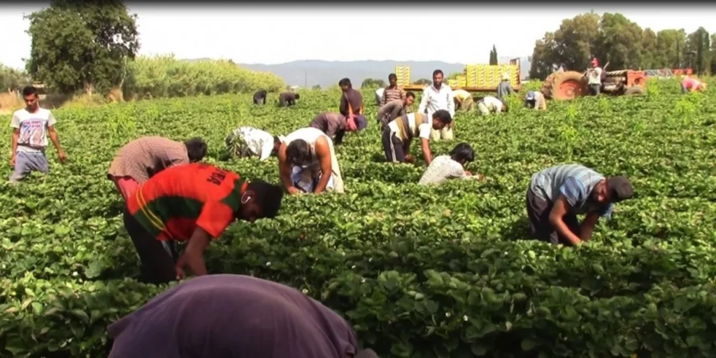 Τι ισχύει πραγματικά για την τροπολογία Καιρίδη με τους αλλοδαπούς
