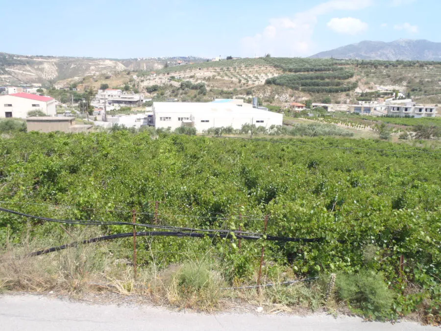 Σ. Καθέρης σε ΘΕΜΑ ΚΡΗΤΗΣ: “Κυκλοφοριακό και κλιματική αλλαγή τα δύο βασικά προβλήματα στη Φοινικιά”