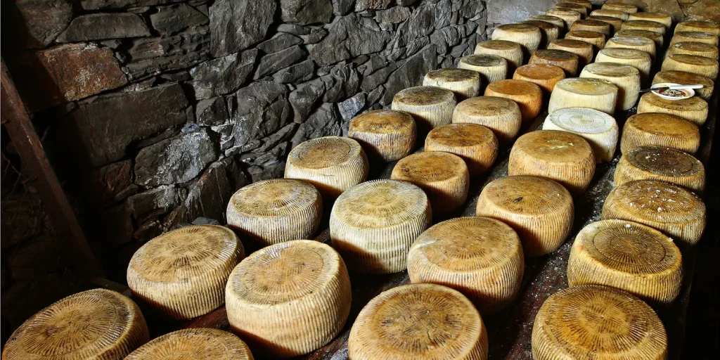 Taste Atlas: Μέσα στα κορυφαία τυριά του κόσμου η γραβιέρα Κρήτης