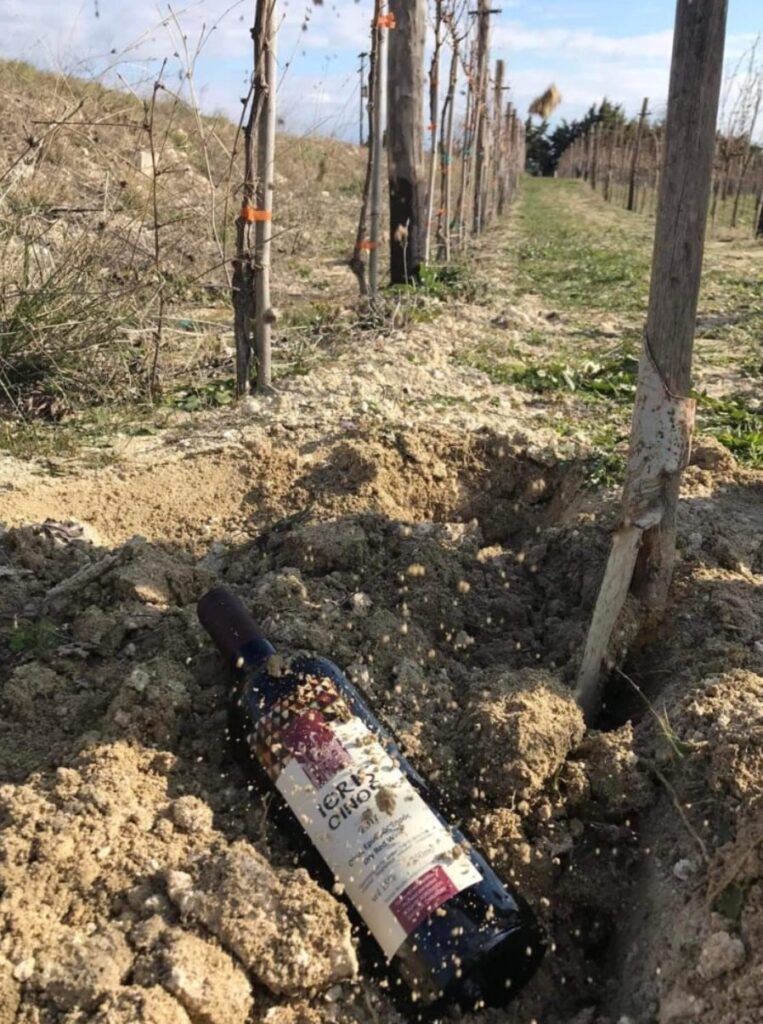 Ημέρα εδάφους και παγκόσμια … υπεδάφια παλαίωση κρασιού από το Domaine Agrovision