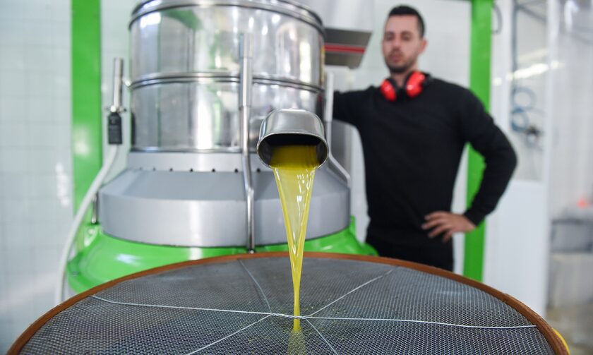 Νέα τιμή ρεκόρ πώλησης ελαιόλαδου στη Λακωνία