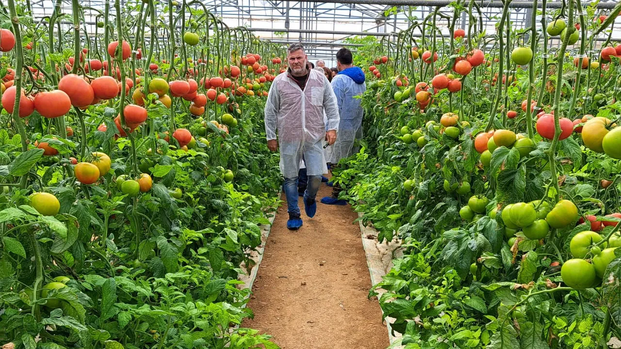 Μ. Ορφανουδάκης σε ΘΕΜΑ ΚΡΗΤΗΣ: “Επιδιώκουν τη δημιουργία Περιφερειακών Ταμείων Ασφάλισης”