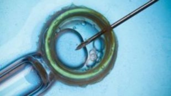 Δωρεάν κατάψυξη ωαρίων στις υπαλλήλους της προσφέρει ως Χριστουγεννιάτικο δώρο ελληνική εταιρεία