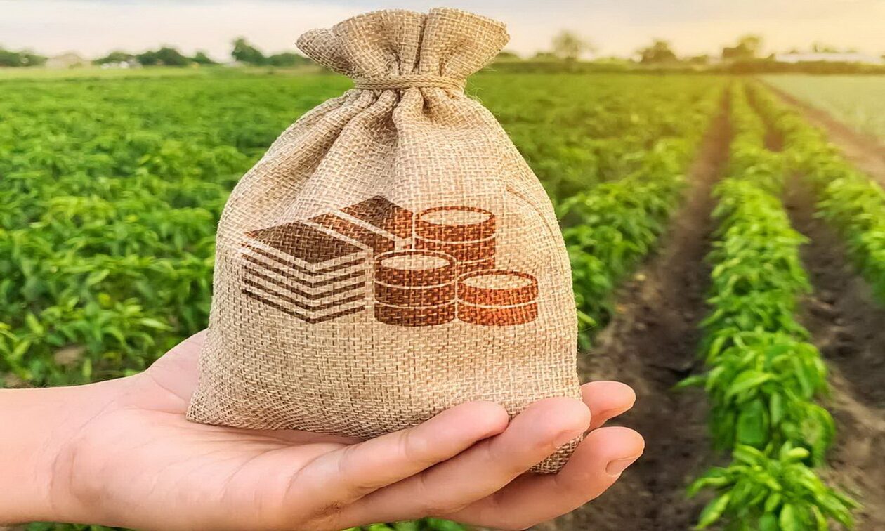 ΕΛΓΑ: Καταβολή αποζημιώσεων σε παραγωγούς για το 2024 και ενισχύσεις για “Daniel” και “Elias”