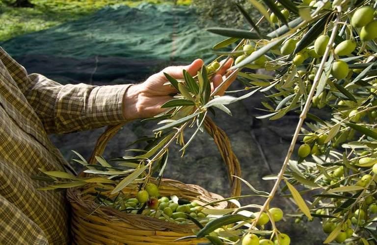 Συστήνουν επιτροπή κι ετοιμάζουν Συλλόγους οι αγρότες για τα προβλήματα τους