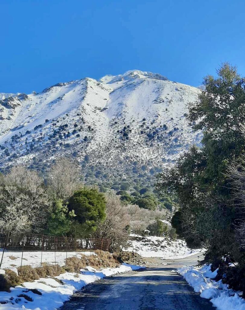 Κάμπος Οροπεδίου Λασιθίου: Μια ματιά στην … λευκή καρδιά της Κρήτης
