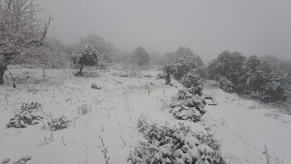 Ευεργετικές οι χιονοπτώσεις και βροχοπτώσεις των τελευταίων ημερών (φωτορεπορτάζ)