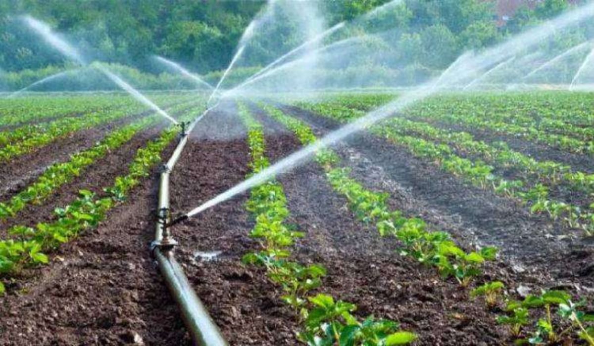 Πολλαπλά αδιέξοδα στην άρδευση του Αγίου Νικολάου