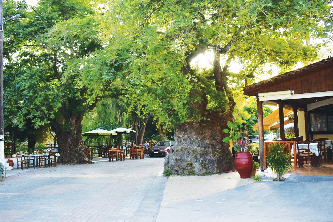 Αρχιτεκτονικός διαγωνισμός για την ανάπλαση του Φόδελε