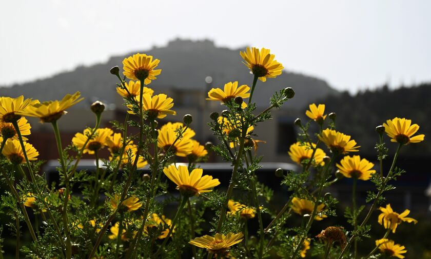 Καυτό το σκηνικό του καιρού από Κυριακή