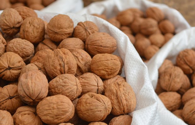 Αυγενάκης: Δεν έχουν ανιχνευθεί υπολείμματα φυτοφαρμάκων σε εισαγώμενα καρύδια