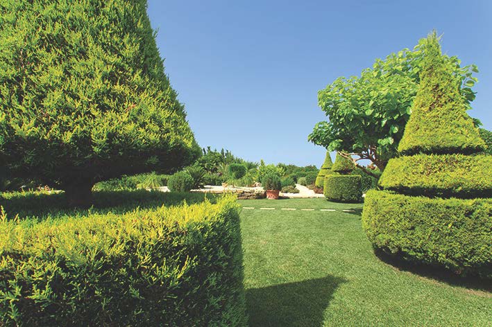 Κλαδέματα από το Δήμο στην Παναγία Μαλεβή