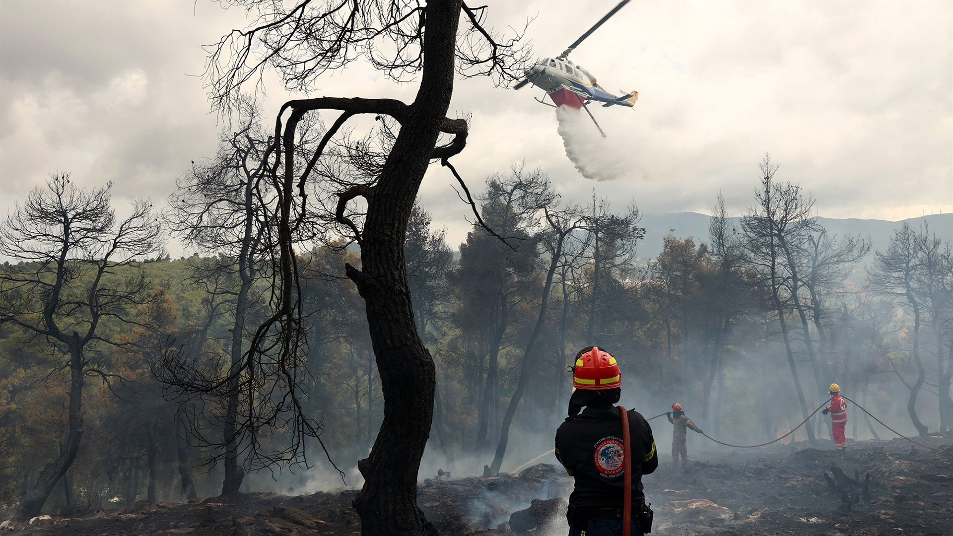 Το σχέδιο της Πυροσβεστικής για τις πυρκαγιές