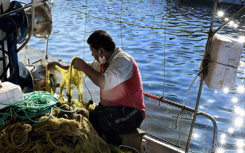 Γ. Ανδρουλάκης: «Οι τιμές μας είναι οι ίδιες από το 2003»