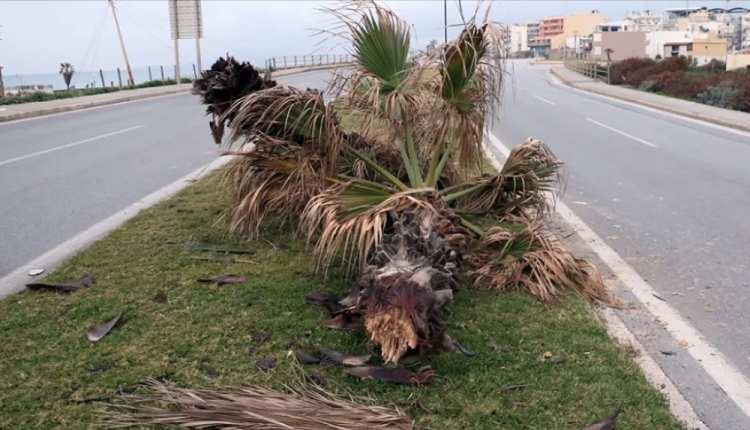 10ο θύμα της ασφάλτου ο άτυχος Γιώργος