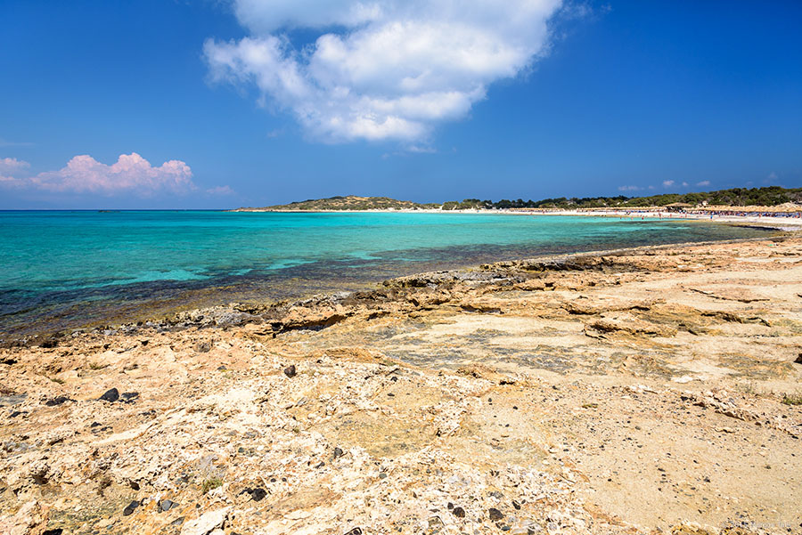 Καθαρίζουν με 200 εθελοντές παραλίες της Ιεράπετρας