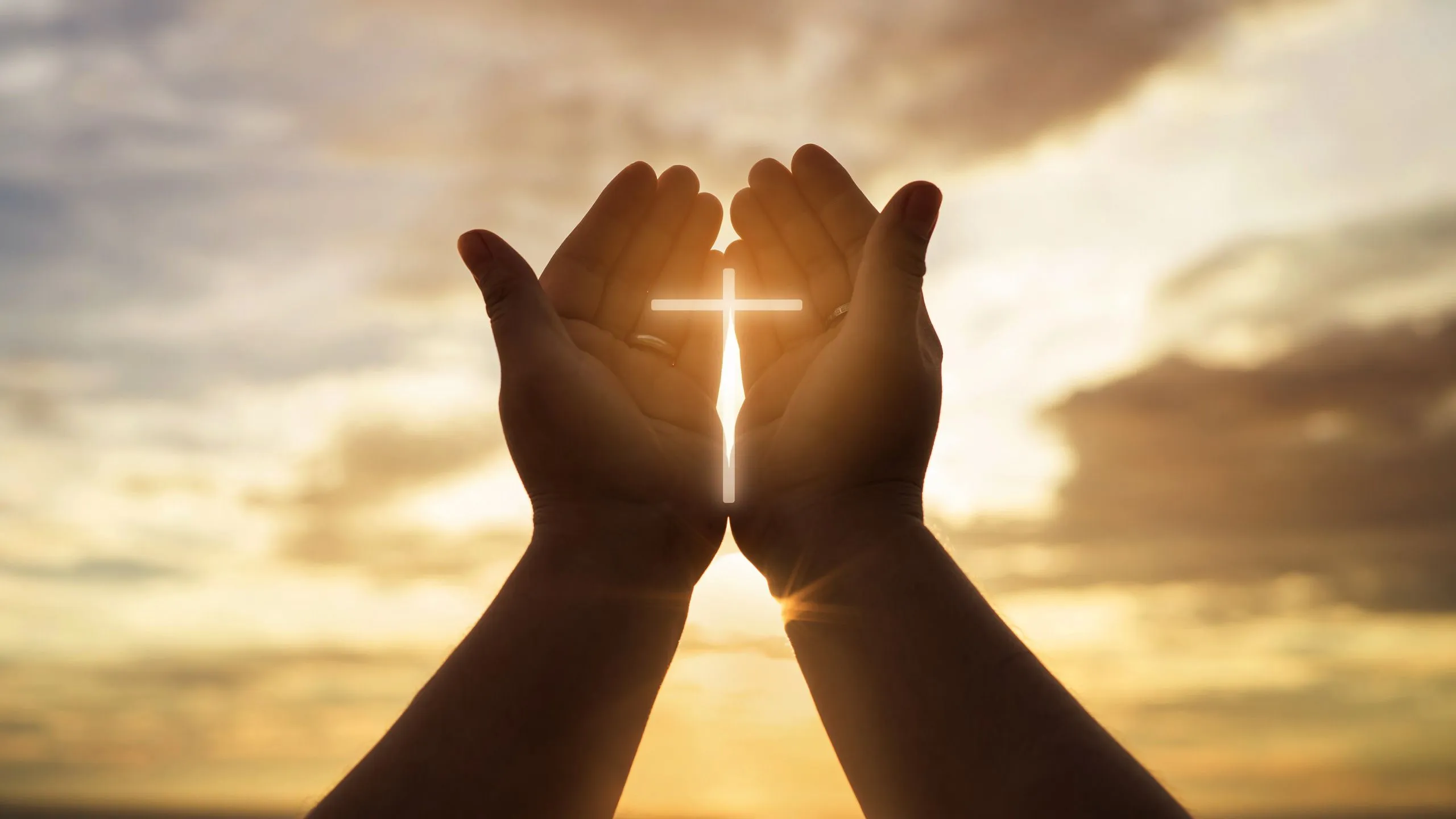 Εκδήλωση για την αγάπη και τη ζώη από το Σύλλογο Μελών Γυναικείων Σωματείων