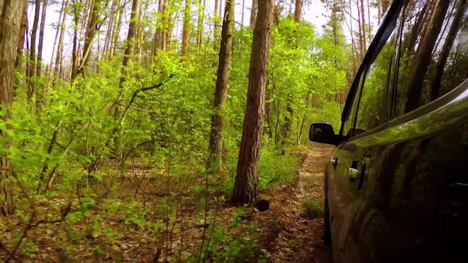 Ταινία θυμίζει η αναζήτηση Γάλλου οδηγού που χτύπησε παιδάκι στο δάσος του Ρούβα