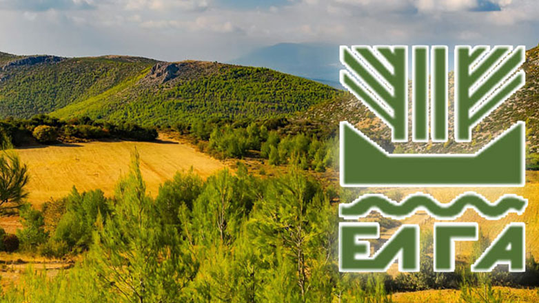 ΕΛΓΑ: Ως το τέλος του 2024 ο νέος κανονισμός του Οργανισμού